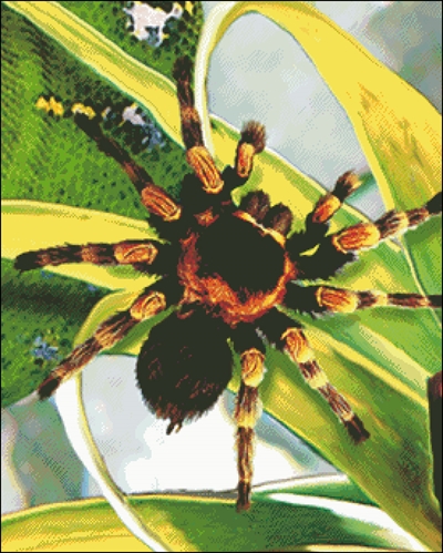 A generic image